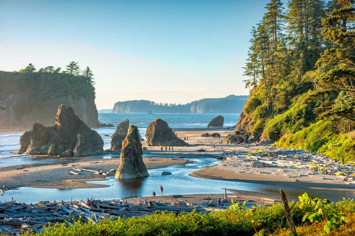 usa-washington-olympic-nationalpark-g-1440851155.jpg