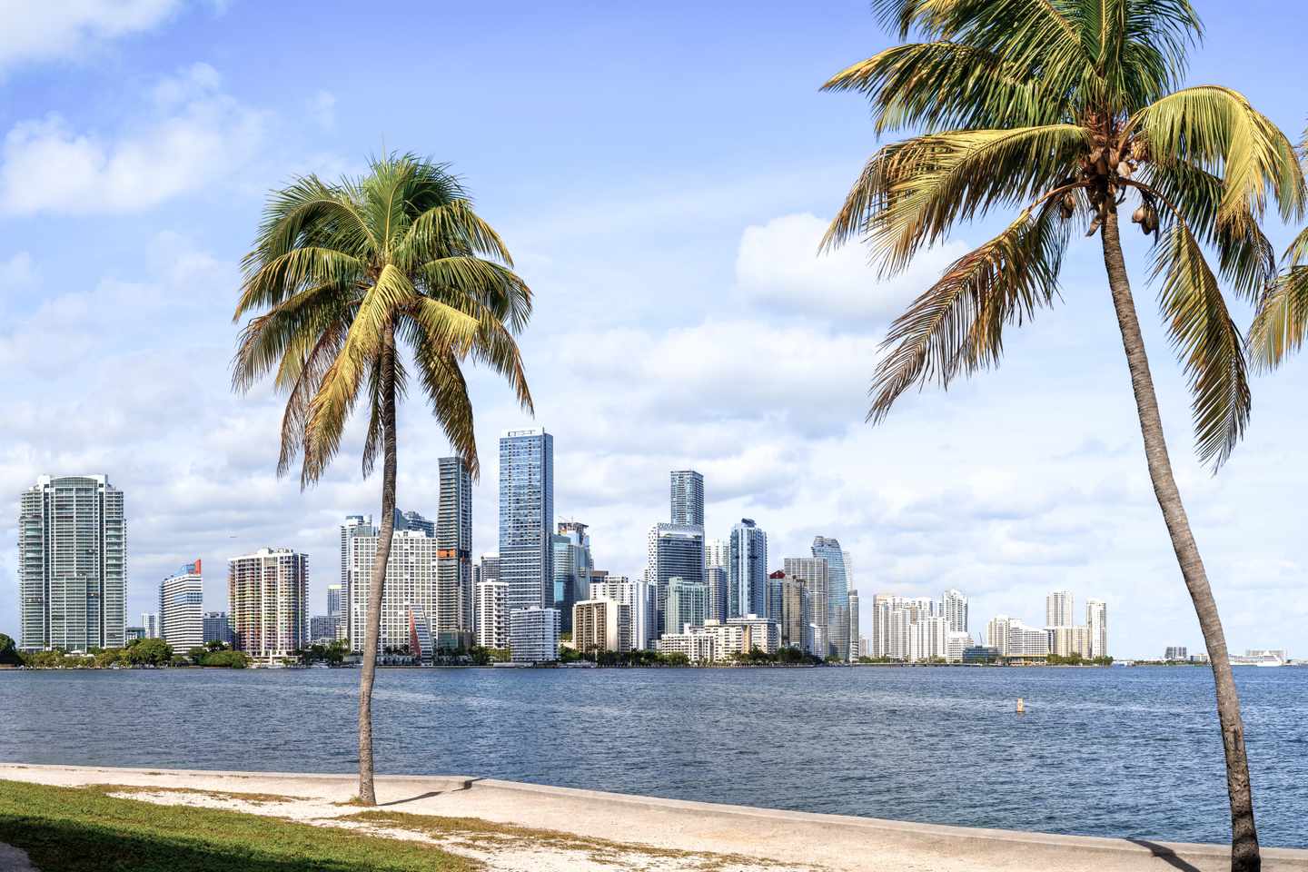 usa-miami-palmen-und-blick-auf skyline-g-1461406033.jpg