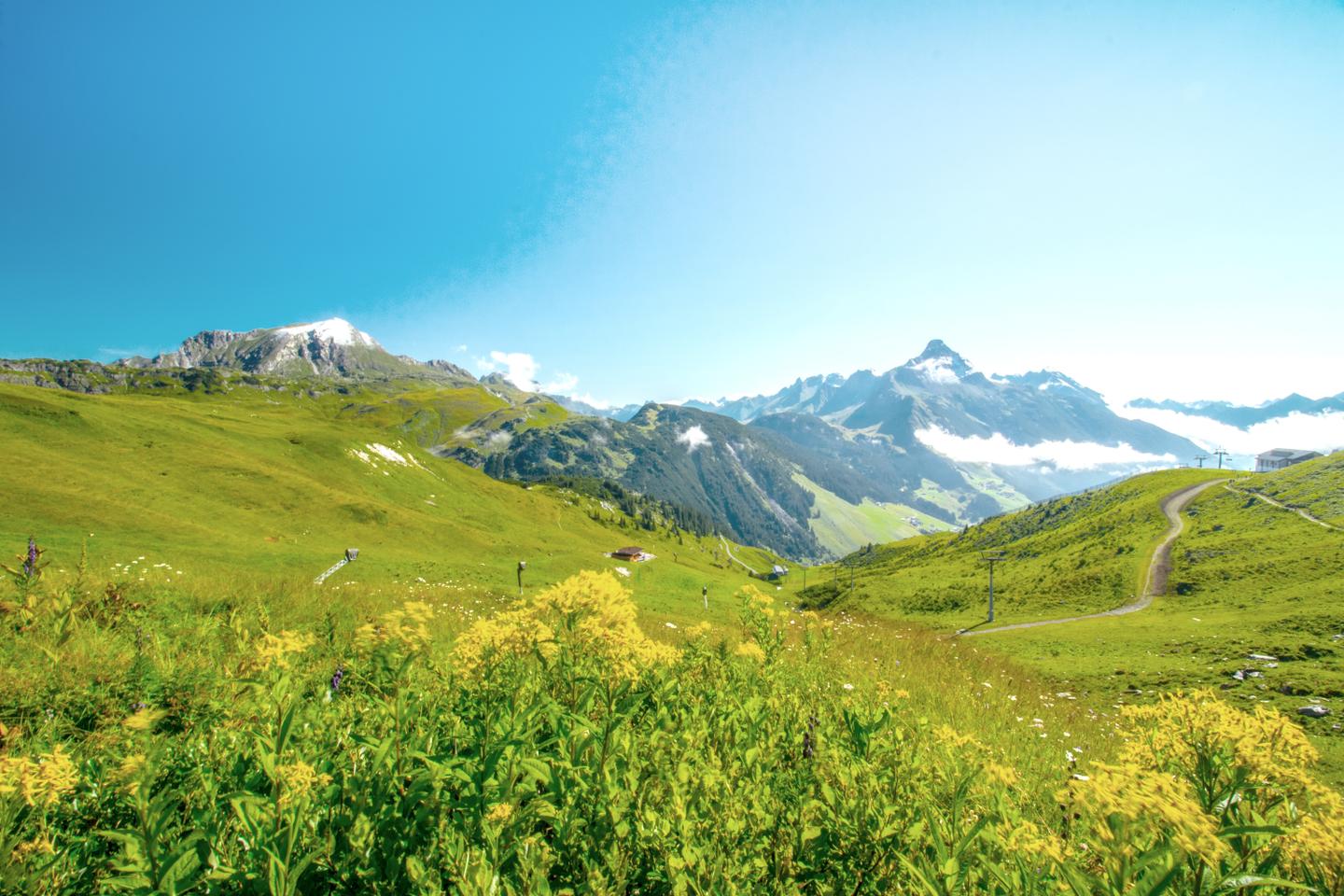 osterreich-vorarlberg-g-1280998081.jpg