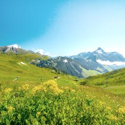 Urlaub Vorarlberg