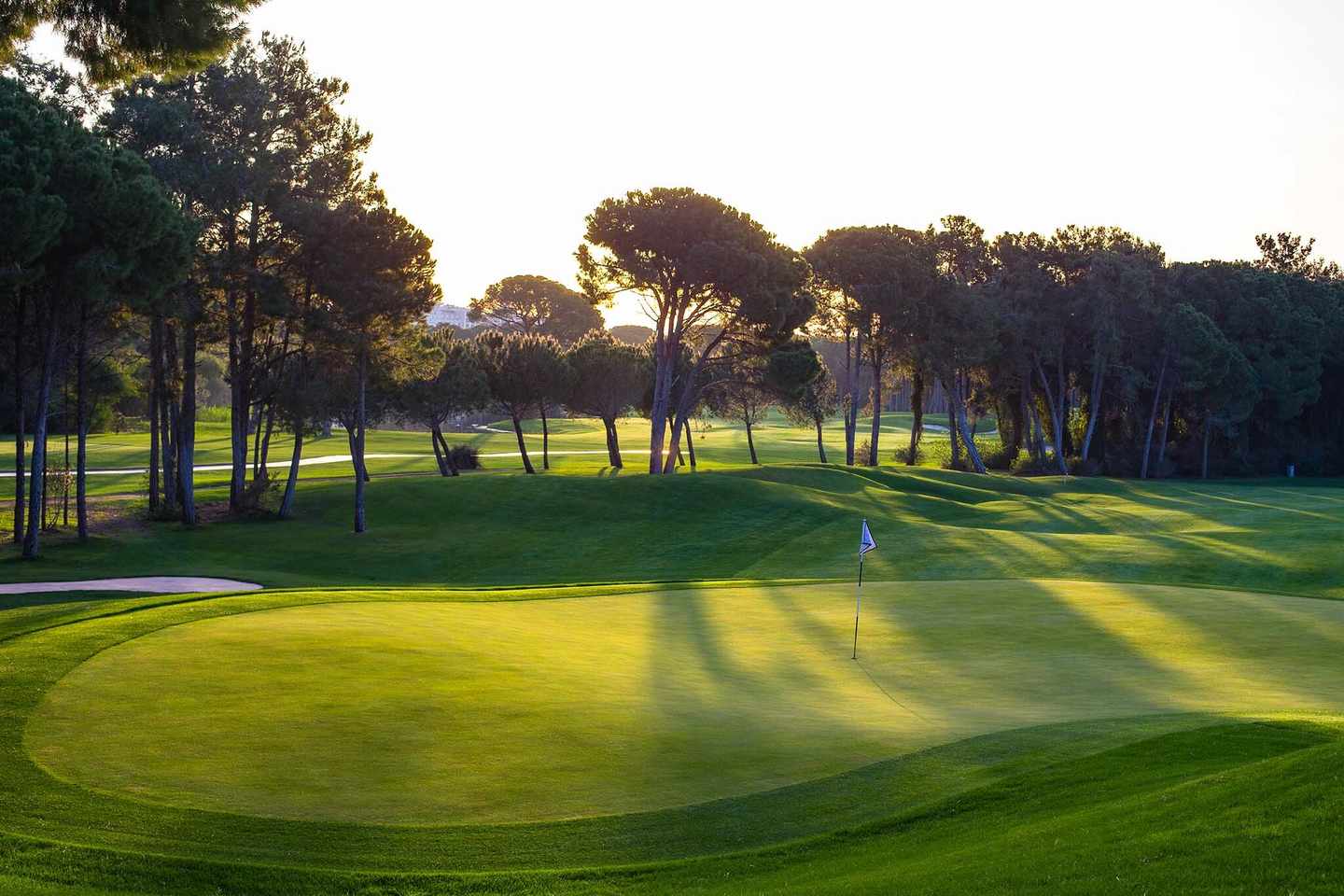tuerkei-belek-golfplaetze-max-royal-belek-golf-resort-gepflegter-golfrasen-mit-sonnenstrahlen-maxroyalstock-Montgomerie_3rdHole.jpg