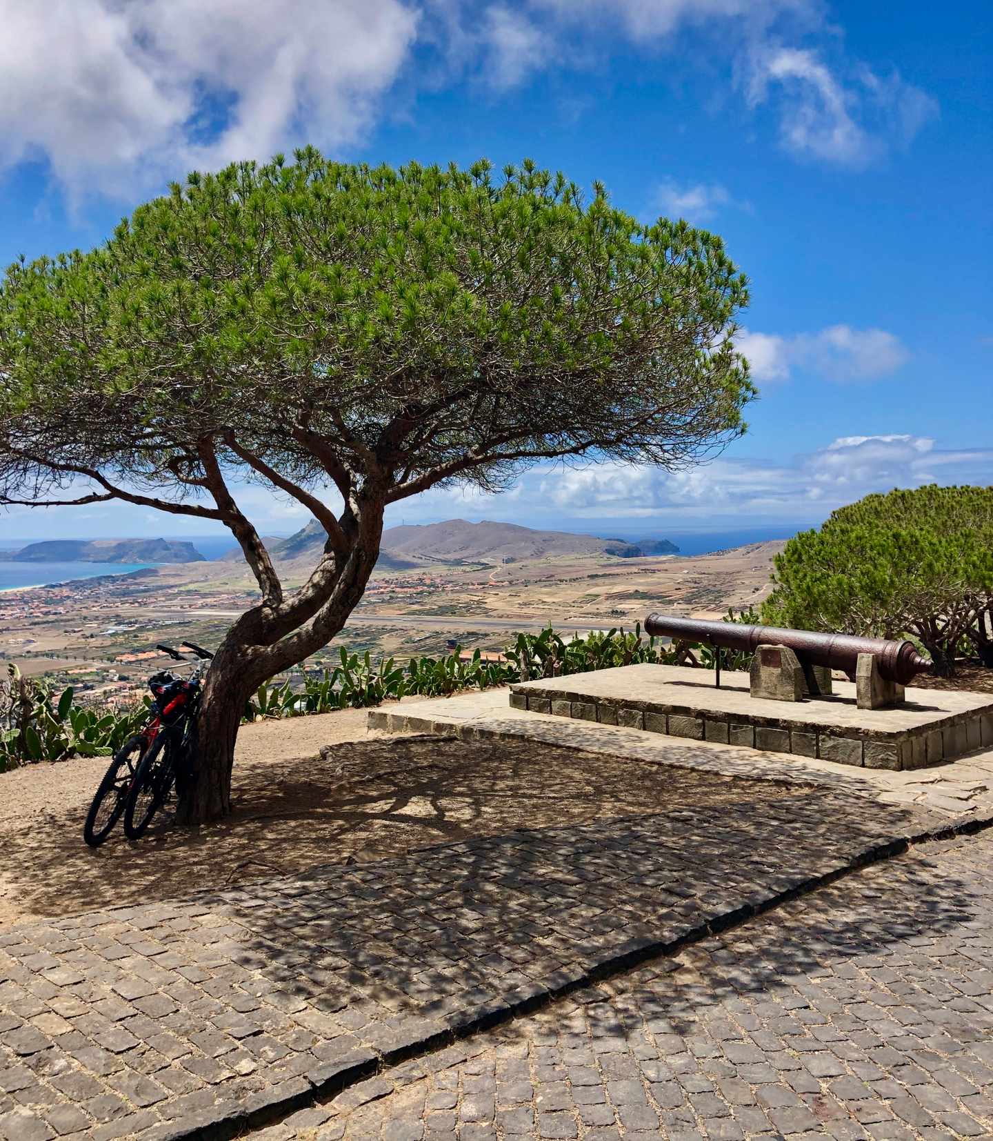GettyImages-1446102087.jpg Porto Santo Urlaub: Bäume in der Landschaft