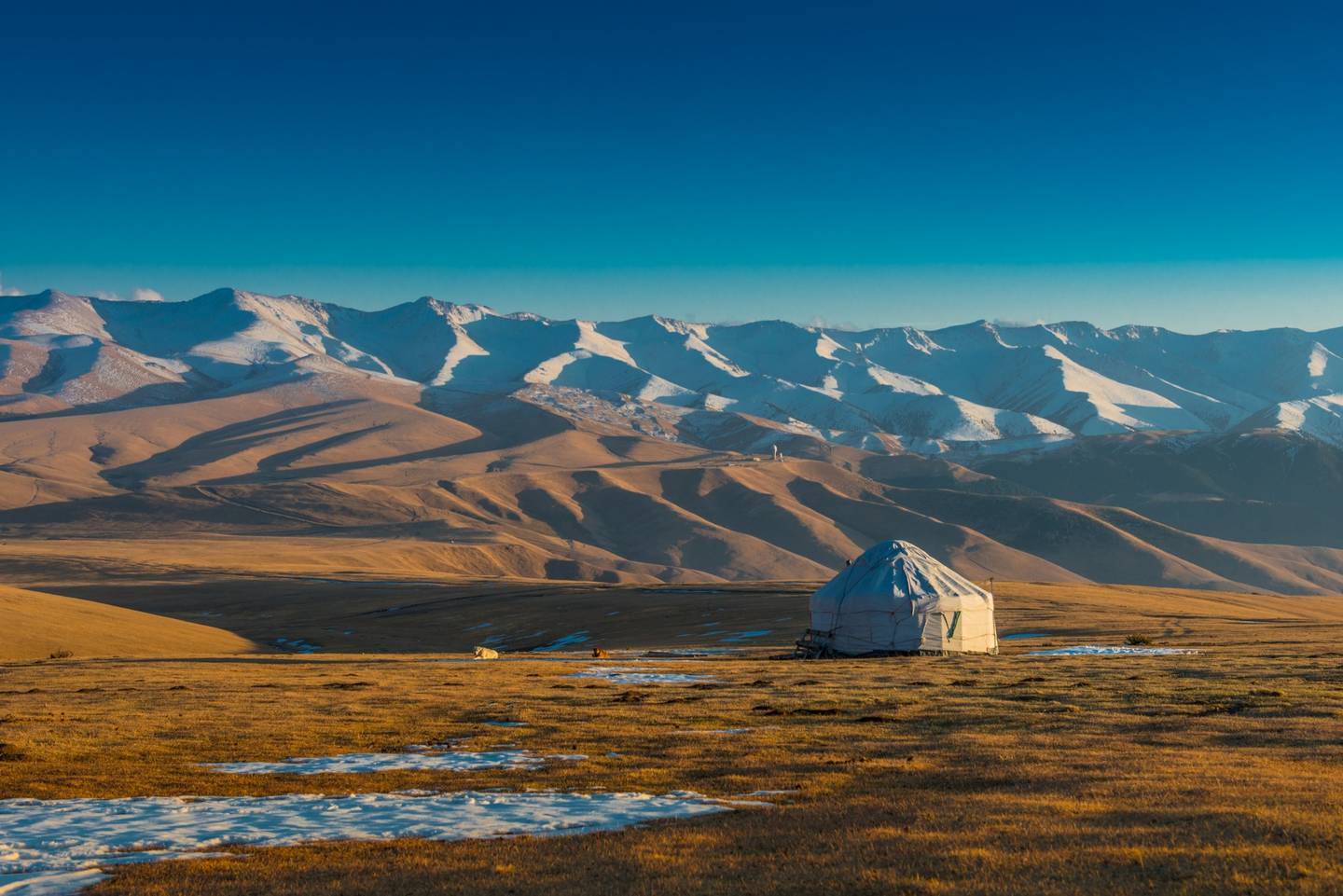 blt97feabfbf2f28185-mongolei-steppe-panorama-zelt-t-523459293.jpg mongolei-steppe-panorama-zelt-t-523459293.jpg