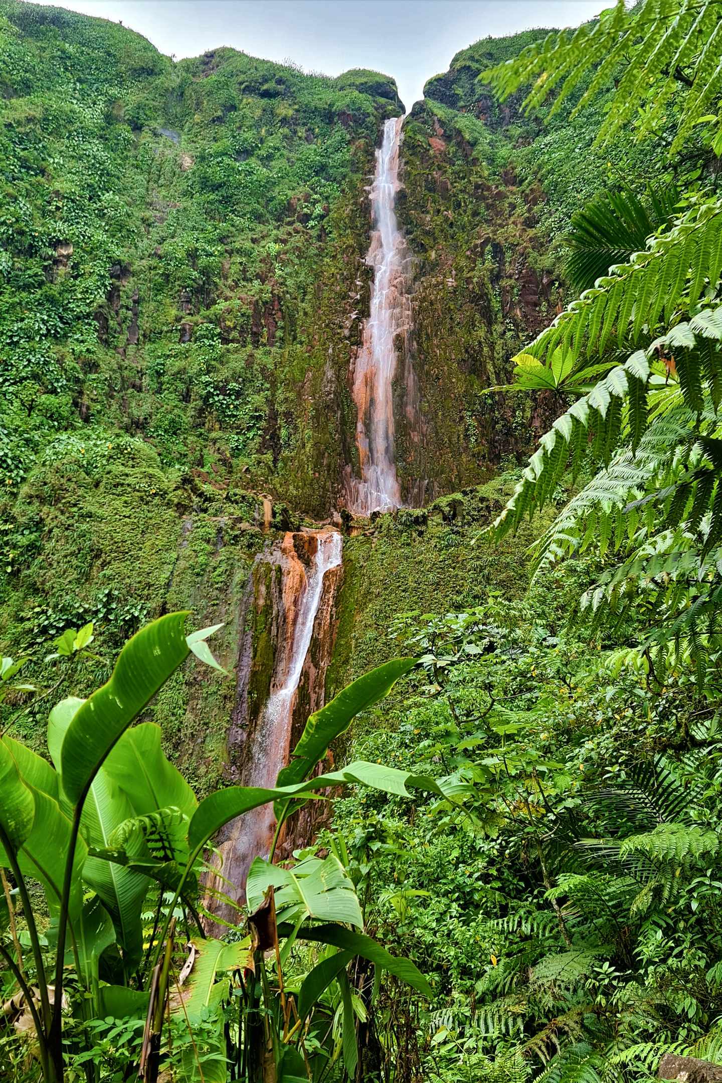 guadeloupe-carbet-wasserfall-g-1472363281.jpg Guadeloupe Urlaub: Carbet Wasserfälle auf Guadeloupe