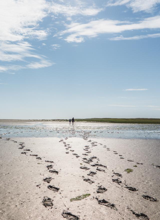 Fußspuren im Wattenmeer 