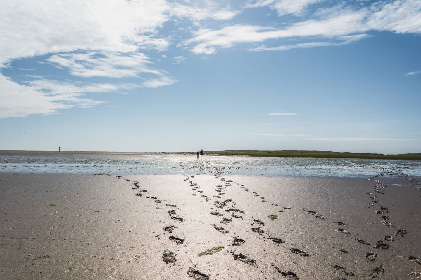deutschland-niedersachsen-nordsee-fußspuren im wattenmeer-g-1079747844.jpg