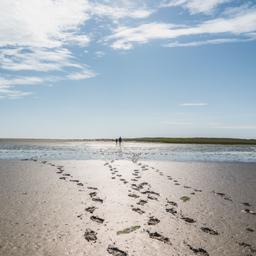 deutschland-niedersachsen-nordsee-fußspuren im wattenmeer-g-1079747844.jpg