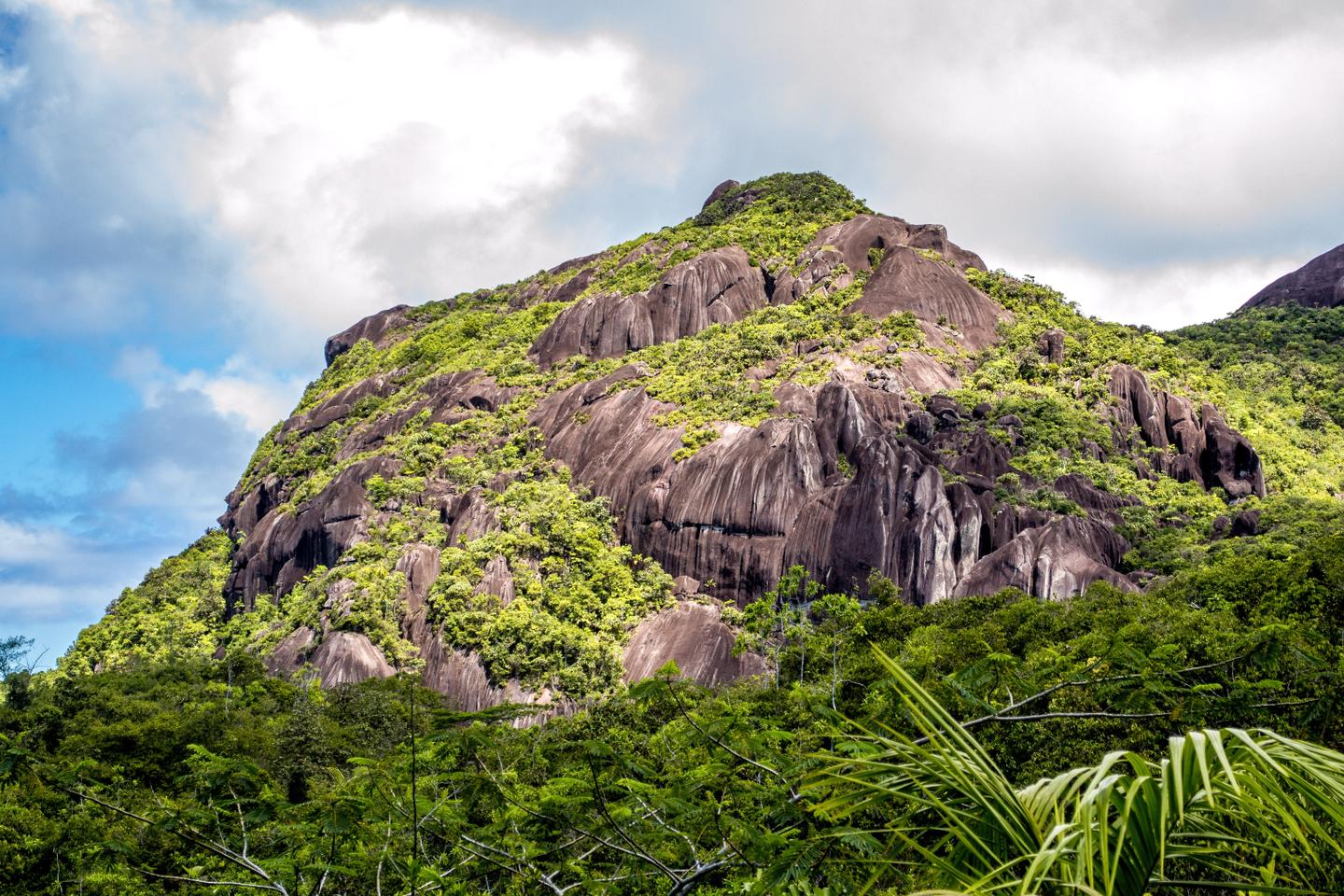 seychellen-mahe-nationalpark-morne-seychellois-g-519762332.jpg