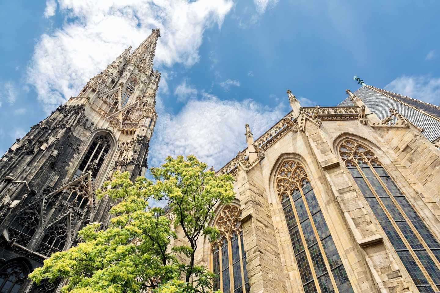 wien-stephansdom-t-576922518.jpg