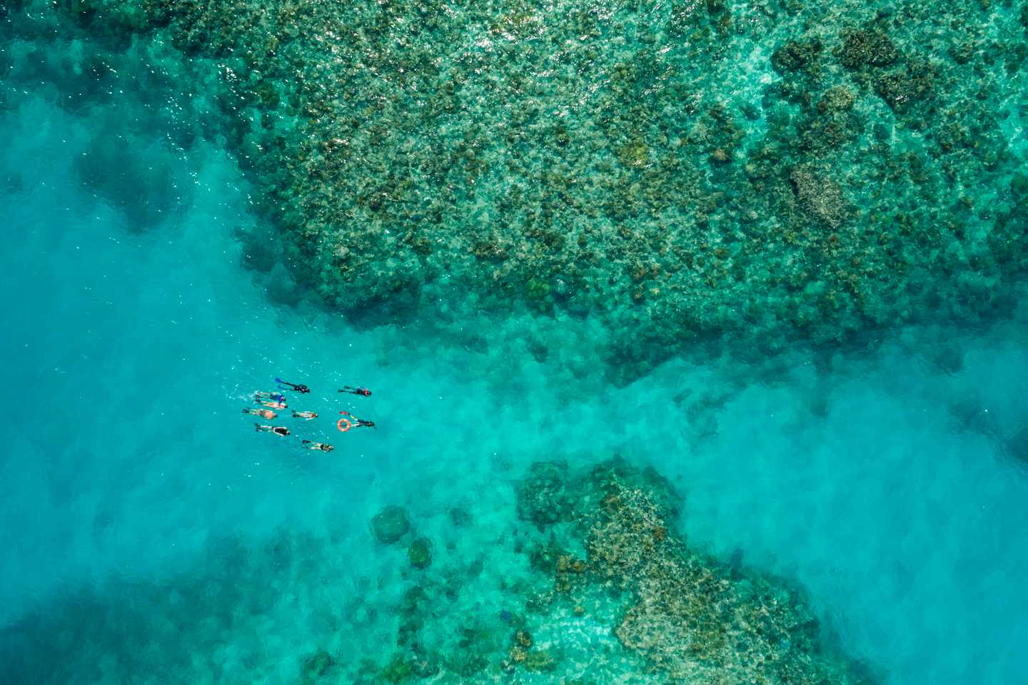 149233-2022_TNQ_Cairns_OceanFreedom_And (1).jpg