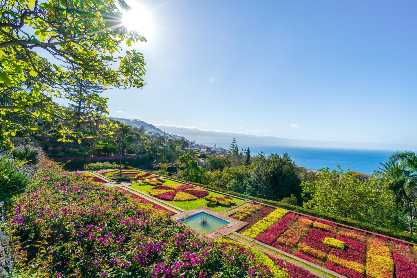 bltbce9c5324474b82f-portugal-madeira-botanischer-garten-funchal-blumenfeld-g-2206532372.jpg portugal-madeira-botanischer-garten-funchal-blumenfeld-g-2206532372.jpg