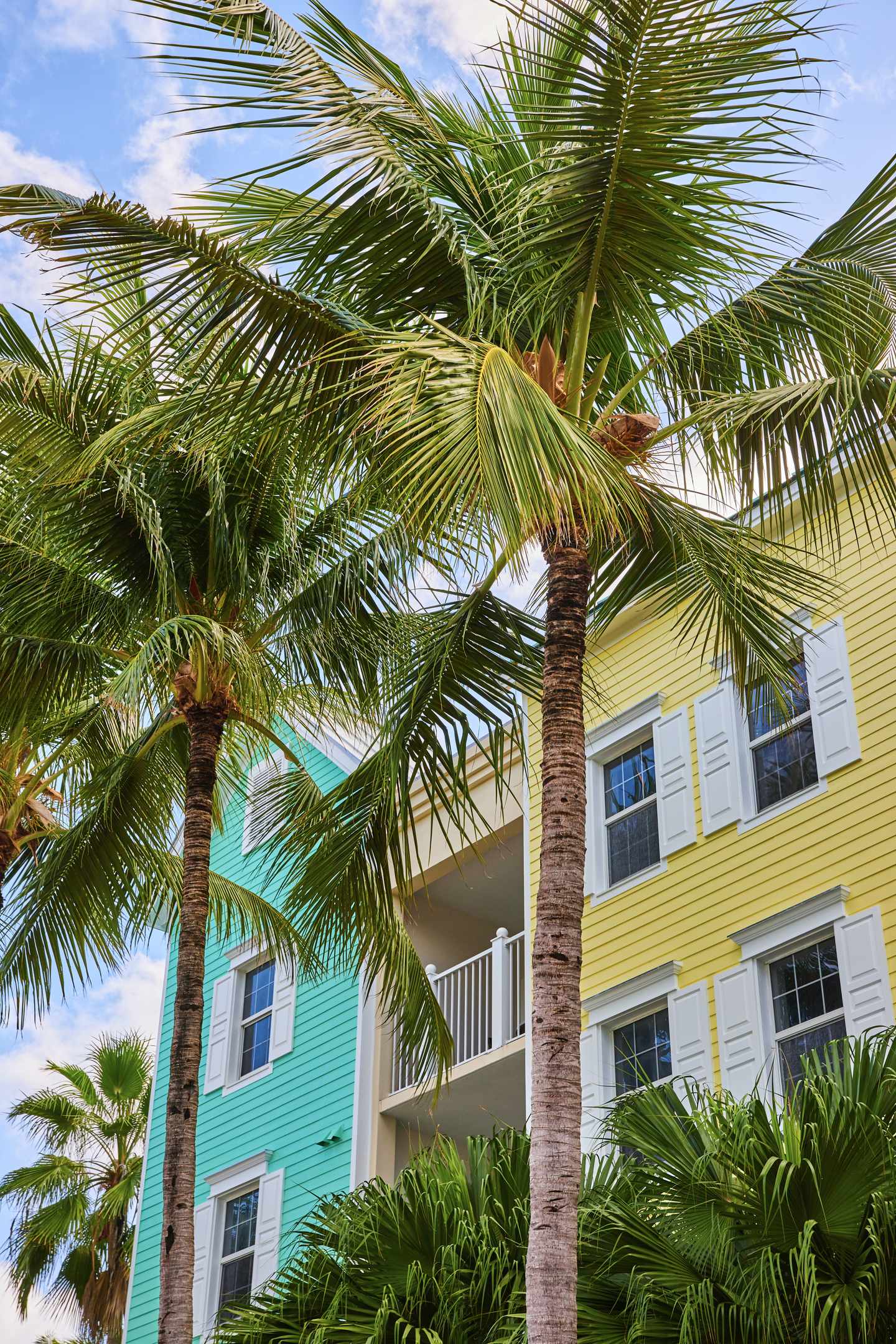 Bahamas Urlaub: Blick auf ein tropisches Resort mit Palmen