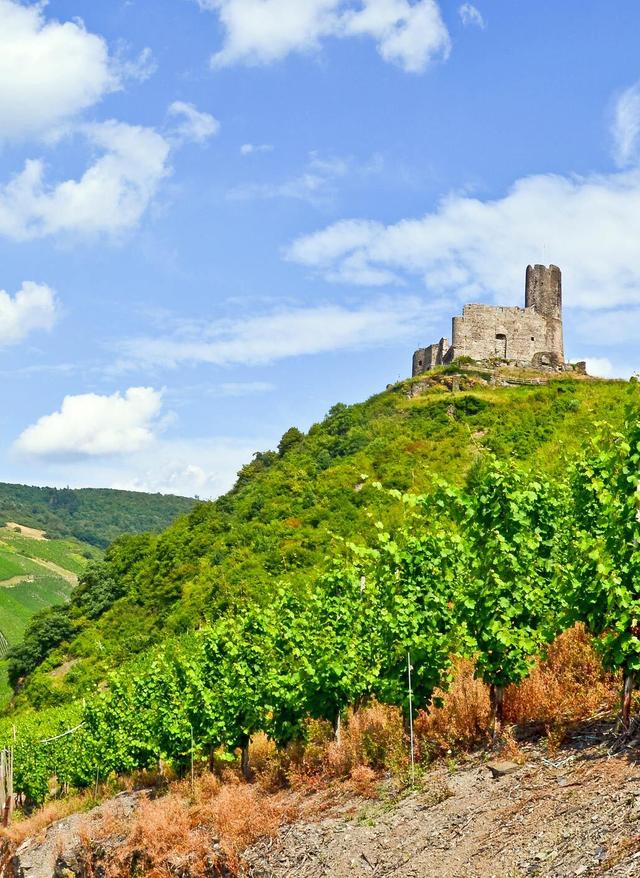 Hotel buchen Weinreise im Moseltal - Hotels