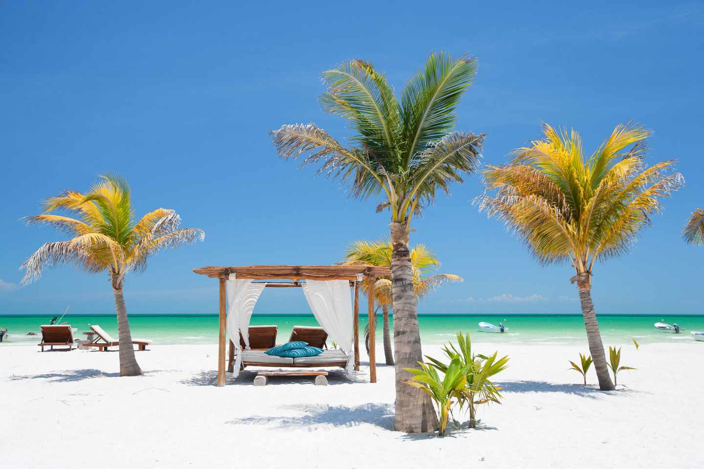mexiko-palmenstrand-strandbett-g-121394996.jpg
