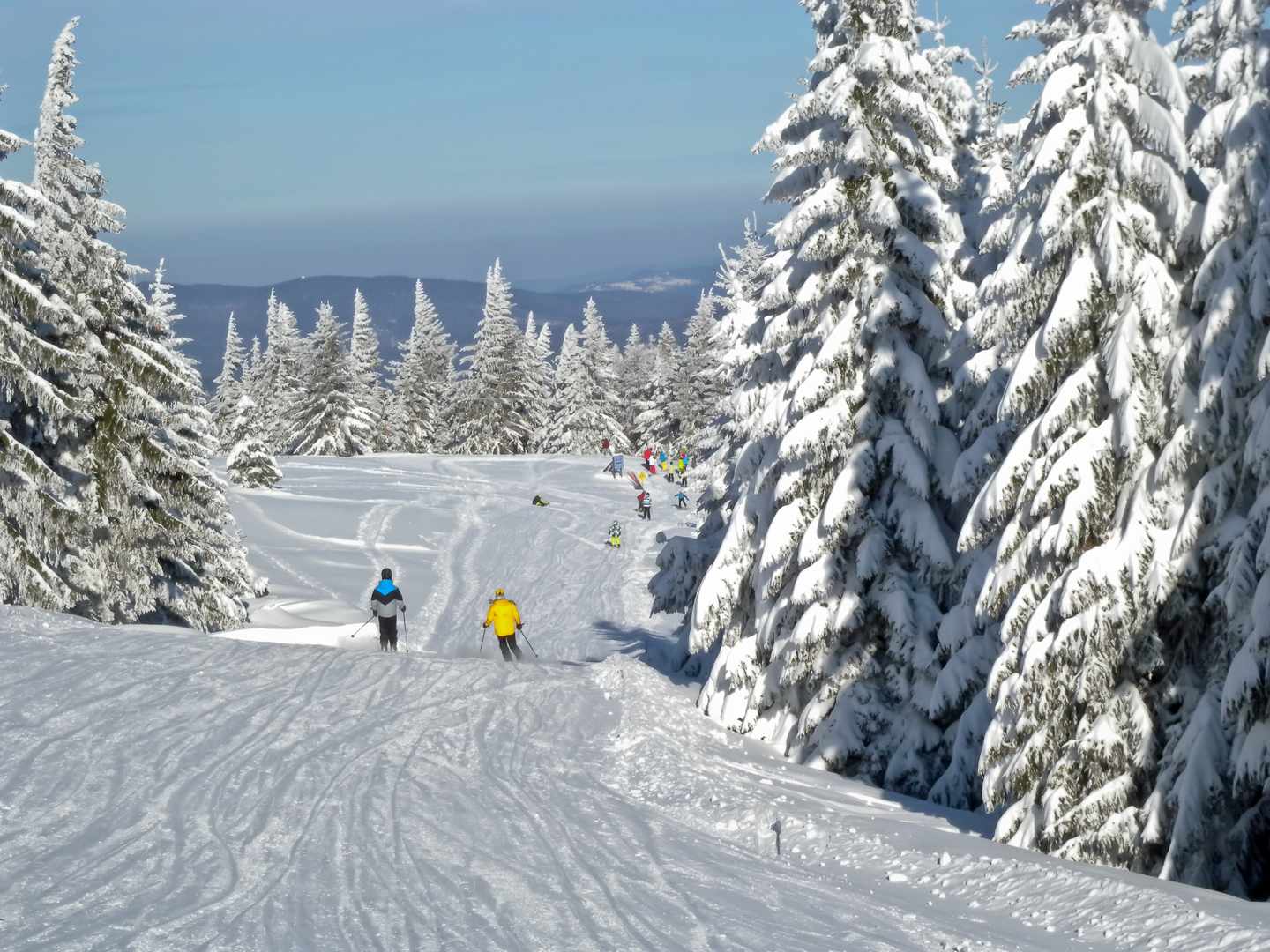 alpen-schnee-ski-g-138205902.jpg