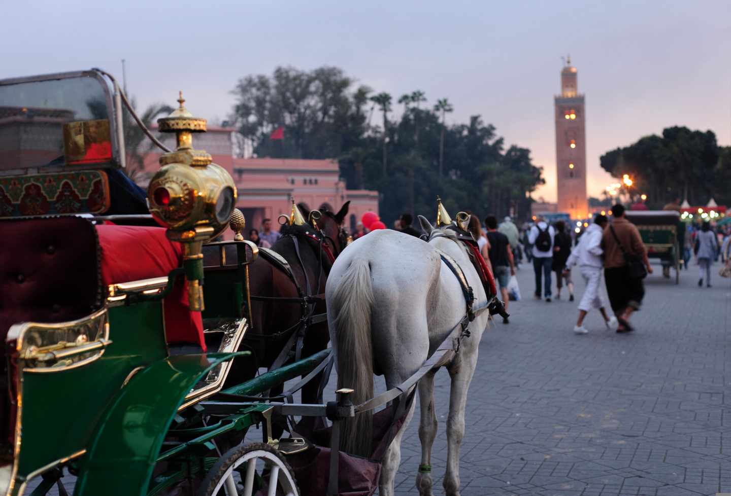 marokko-marrakesch-kutsche-klein-g-142376417.jpg