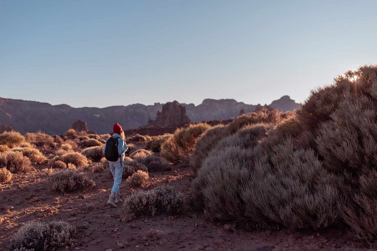 spanien-teneriffa-teide-nationalpark-frau-wandert-vulkanisches-tal-g-1203913740.jpg
