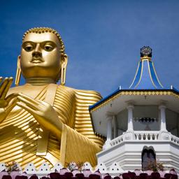 thailand-goldene-buddha-statue-t-91767912.jpg