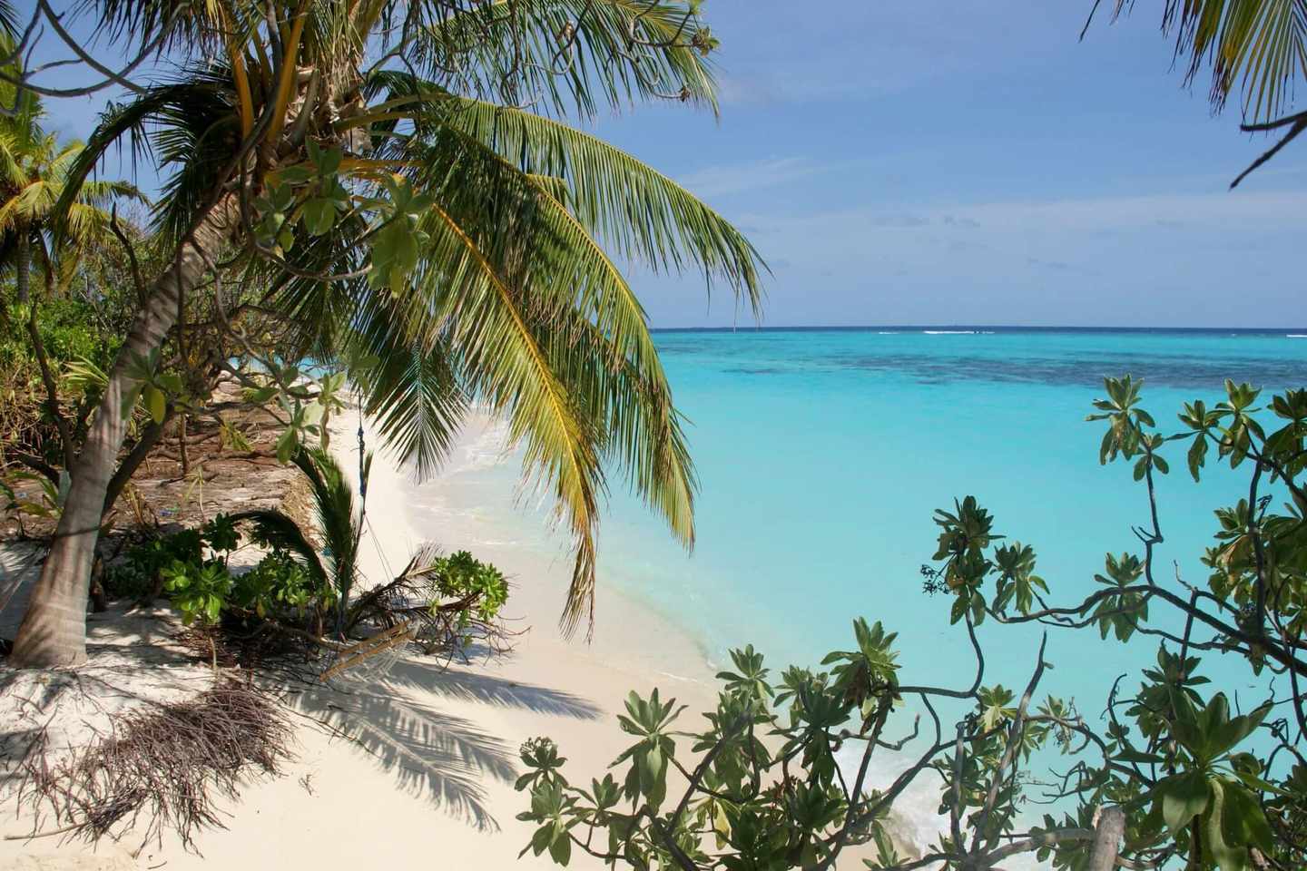 malediven-bikinibeach-g-1172147135.jpg