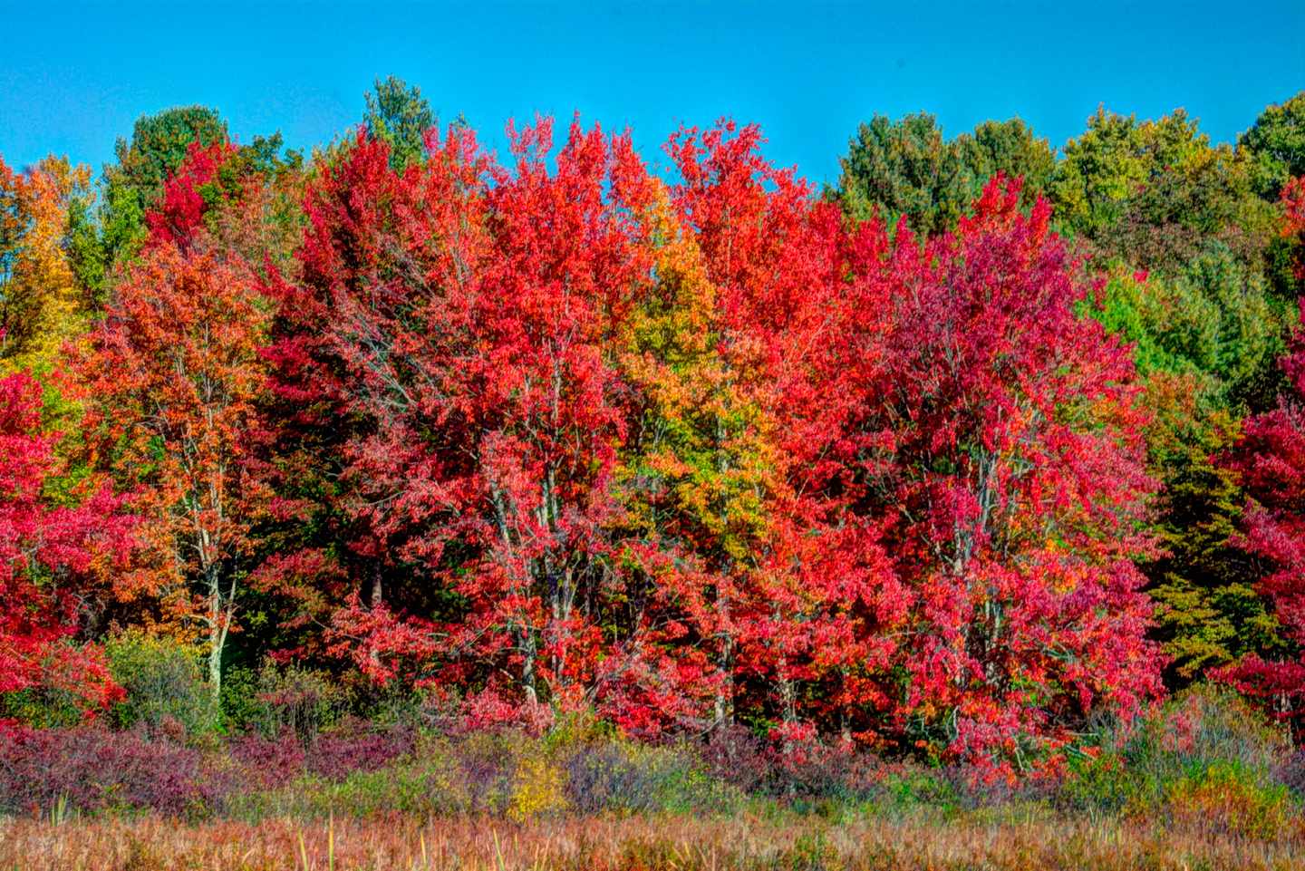 usa-herbst-indian-summer-t-922720090.jpg