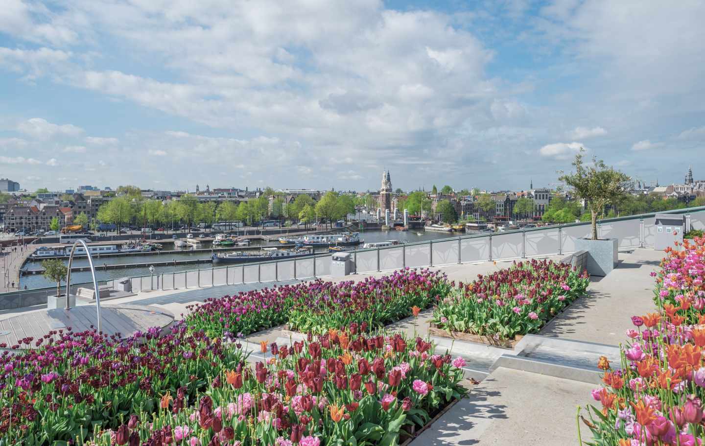 niederlande-amsterdam-zentrum-dachgarten-tulpen-g-951069880_bearbeitet.jpg