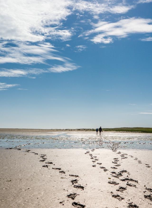 Wattwandern in der deutschen Nordsee