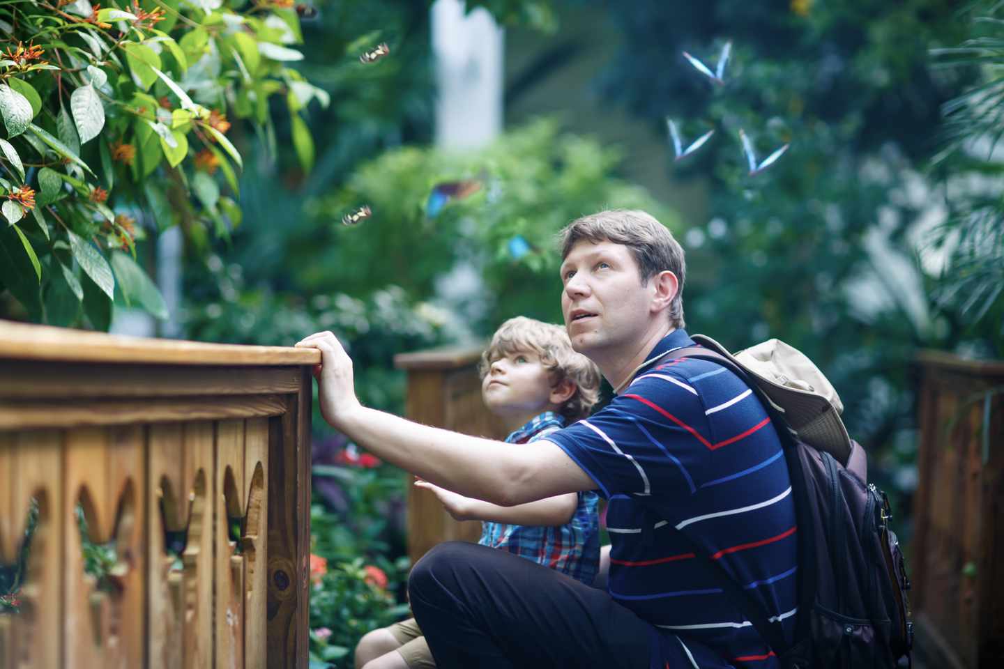 vater-und-sohn-zwischen-pflanzen-und-schmetterlingen-im-botanischen-garten-g-999165134_bearbeitet.jpg