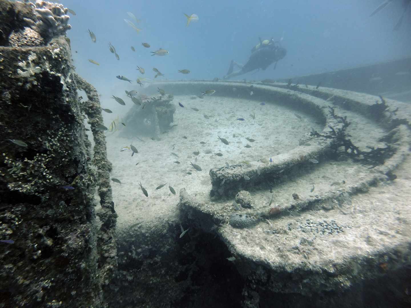 karibik-kuba-varadero-wracktauchen-g-536092347.jpg