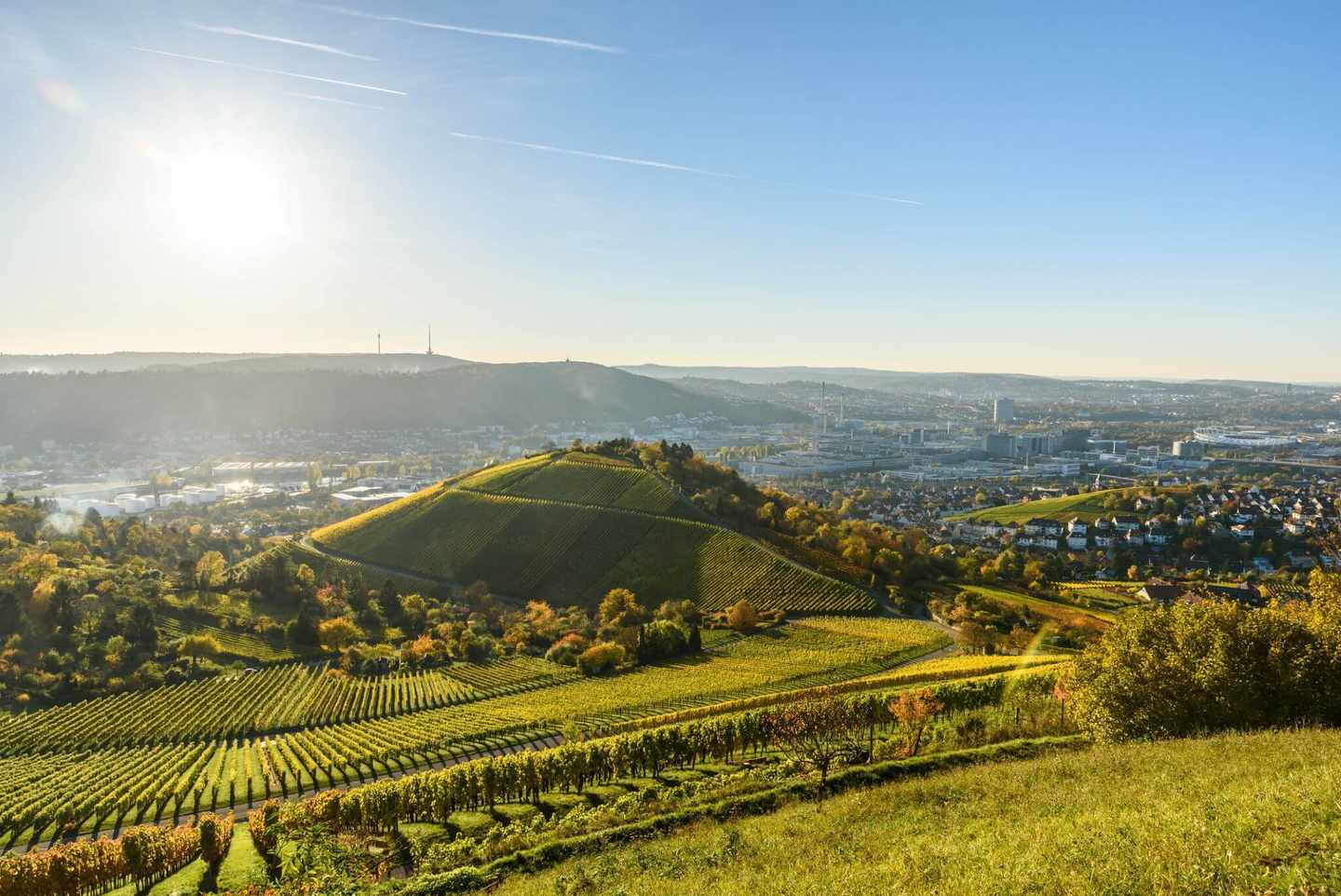 deutschland-stuttgart-weinberge-in-der-sonne-g-619762640.jpg