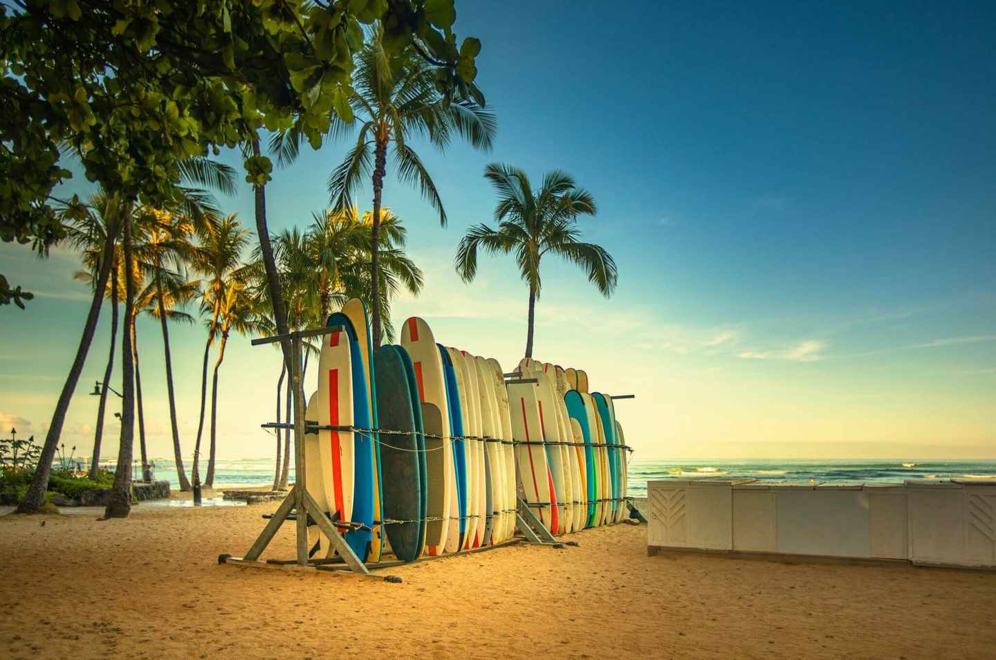 usa-hawaii-surfbretter-am-strand-g-1326217634.jpg