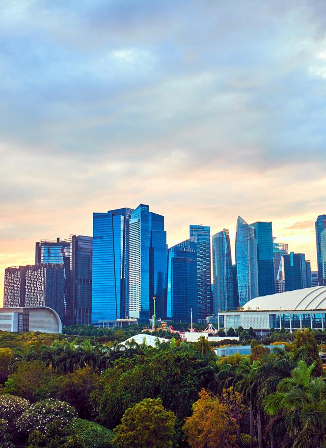 singapur-skyline-klein-g-1138458446.jpg