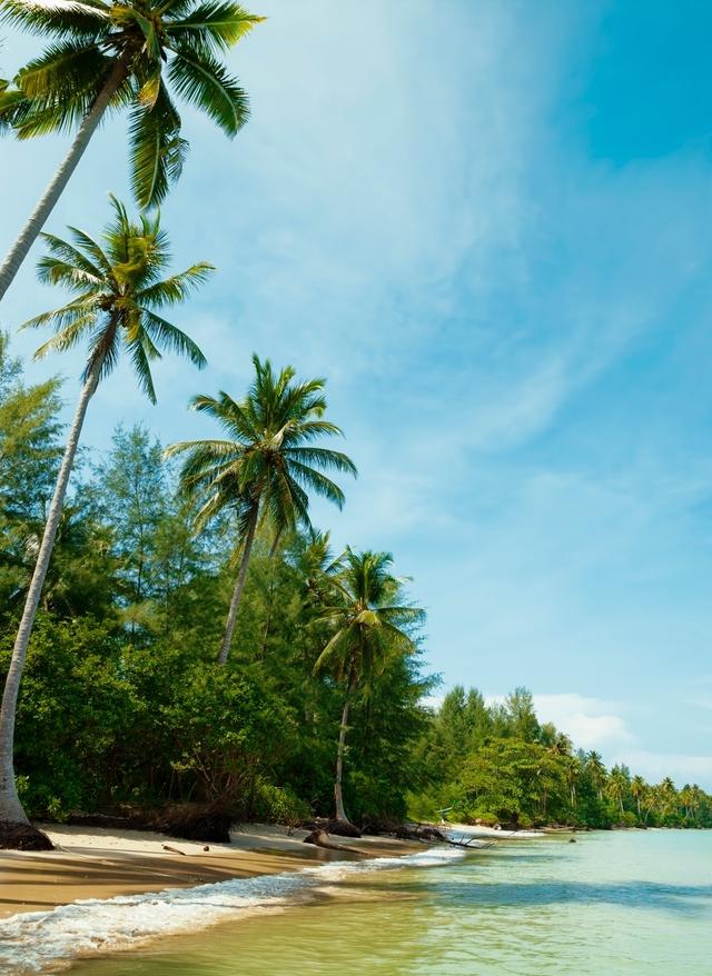 thailand-khao-lak-strand-t-177512546.jpg