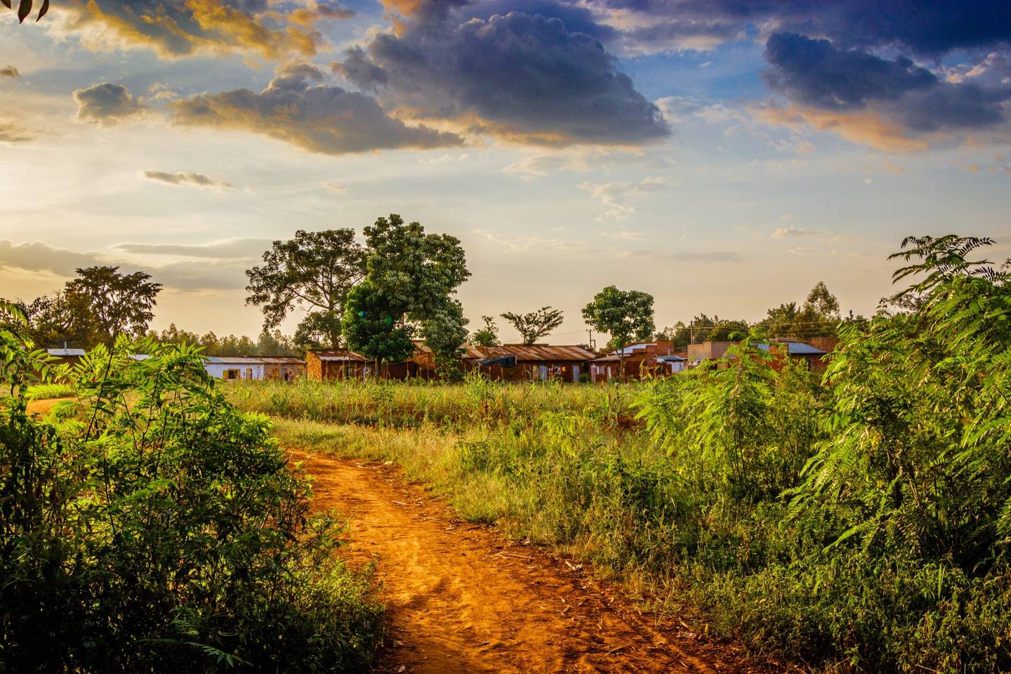 uganda-steppe-mount-elgon-nationalpark-t-851895738.jpg