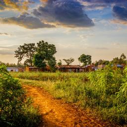 uganda-steppe-mount-elgon-nationalpark-t-851895738.jpg