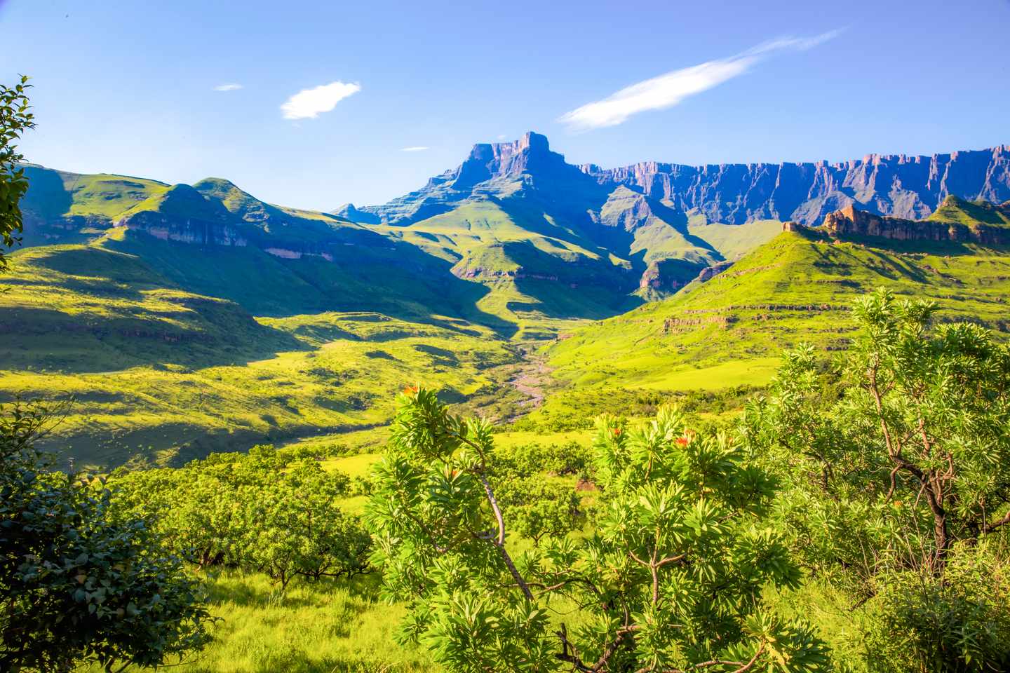 Grüne Berglandschaft mit steilen Felswänden und Tafelbergen im uKhahlamba-Drakensberg-Park in Südafrika