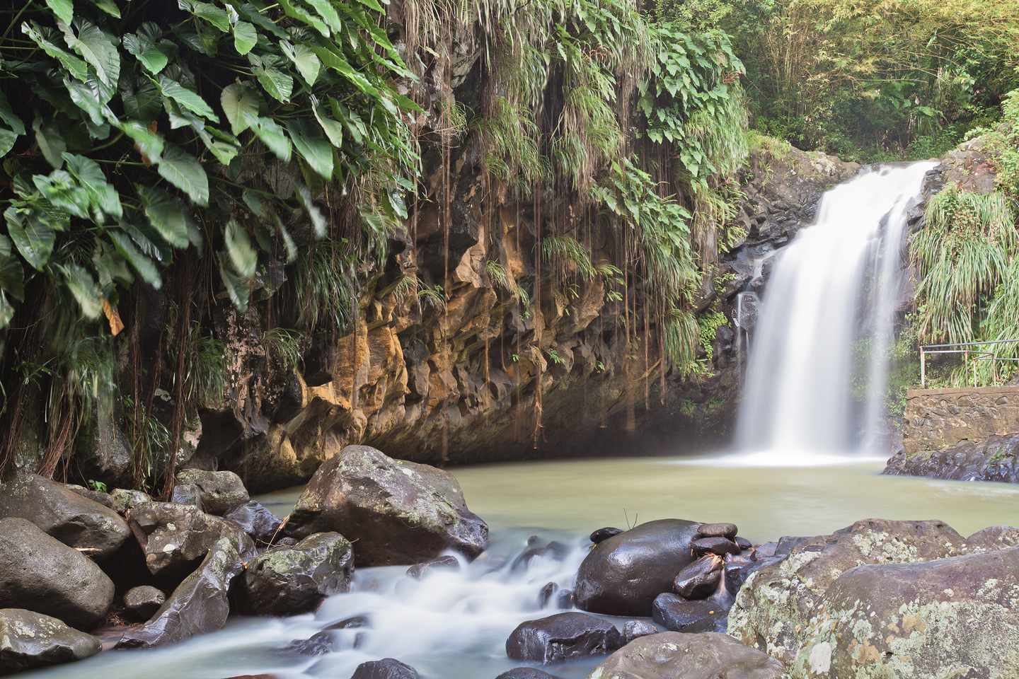 karibik-grenada-annandale-wasserfaelle-g-155357374.jpg