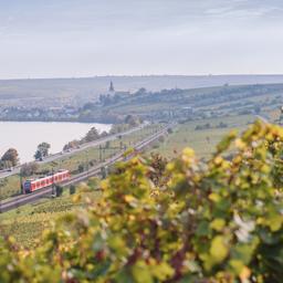 Hotels in der Pfalz