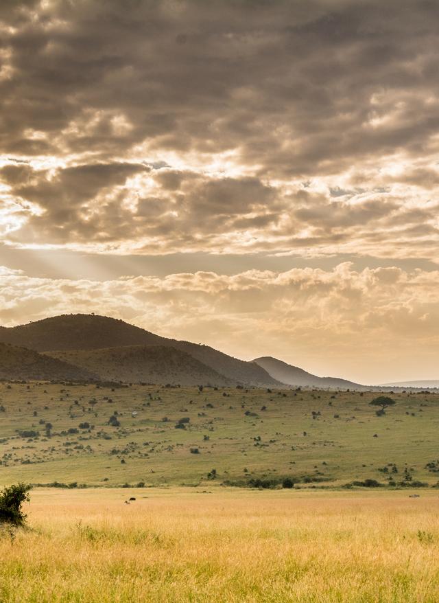 Masai Mara Naturschutzgebiet