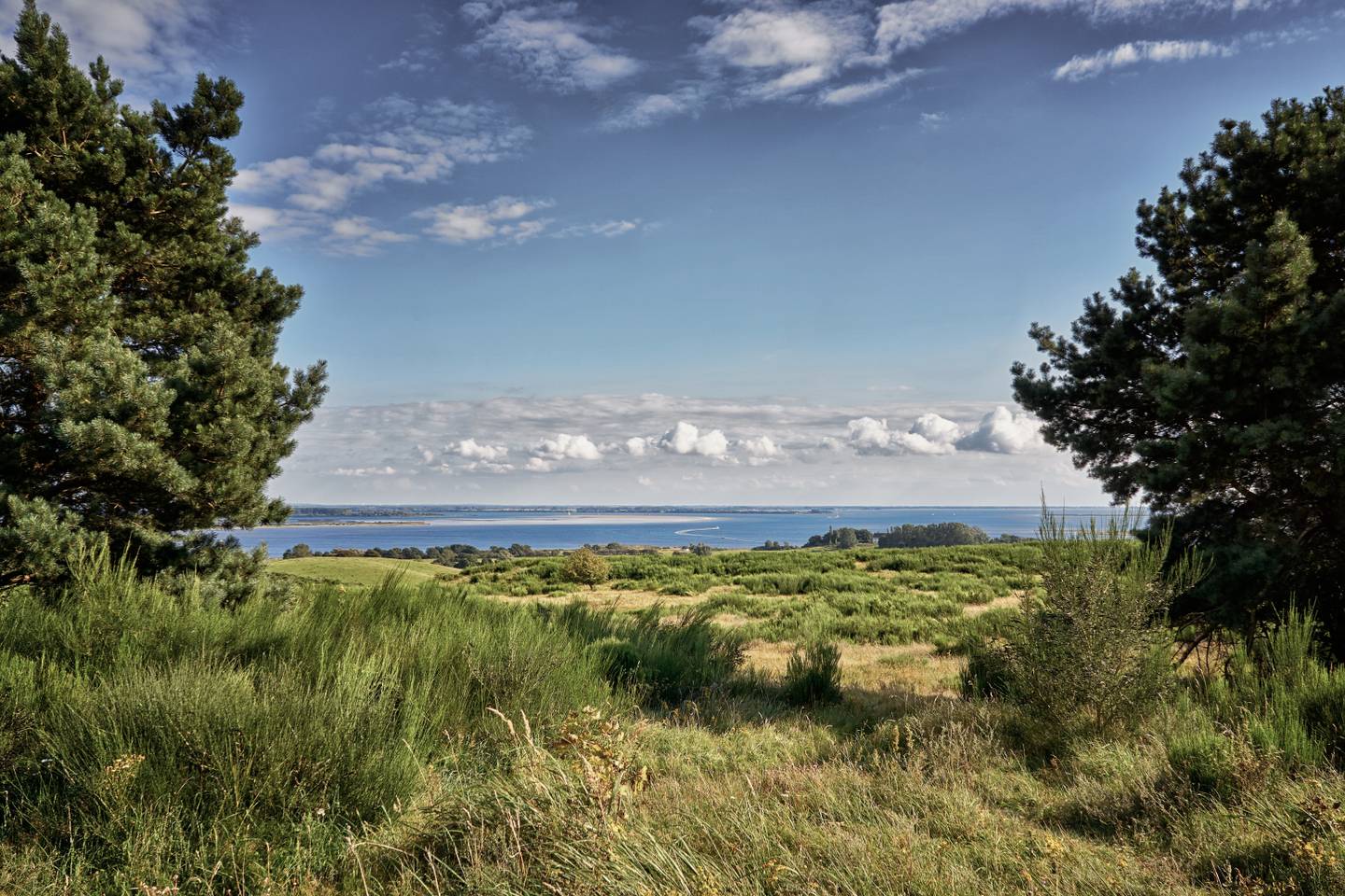 deutschland-mecklenburg-vorpommern-hiddensee-landschaft-ostsee-g-1059225856.jpg