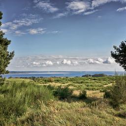 deutschland-mecklenburg-vorpommern-hiddensee-landschaft-ostsee-g-1059225856.jpg
