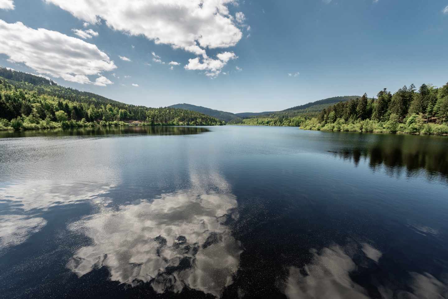 coolcation-schwarzwald-stausee-schwarzenbach-g 908270936.jpeg