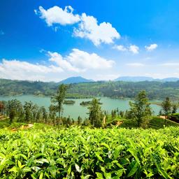 Hotel Südwestküste Sri Lanka