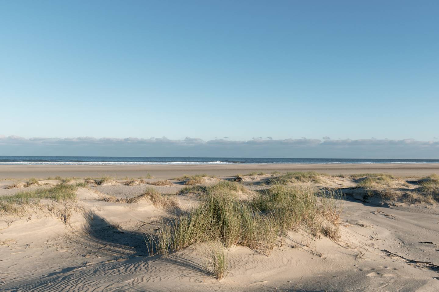 bltbe30bf8c046352aa-deutschland-niedersachsen-norderney-strand-strandgras-g-1440559056.jpg deutschland-niedersachsen-norderney-strand-strandgras-g-1440559056.jpg