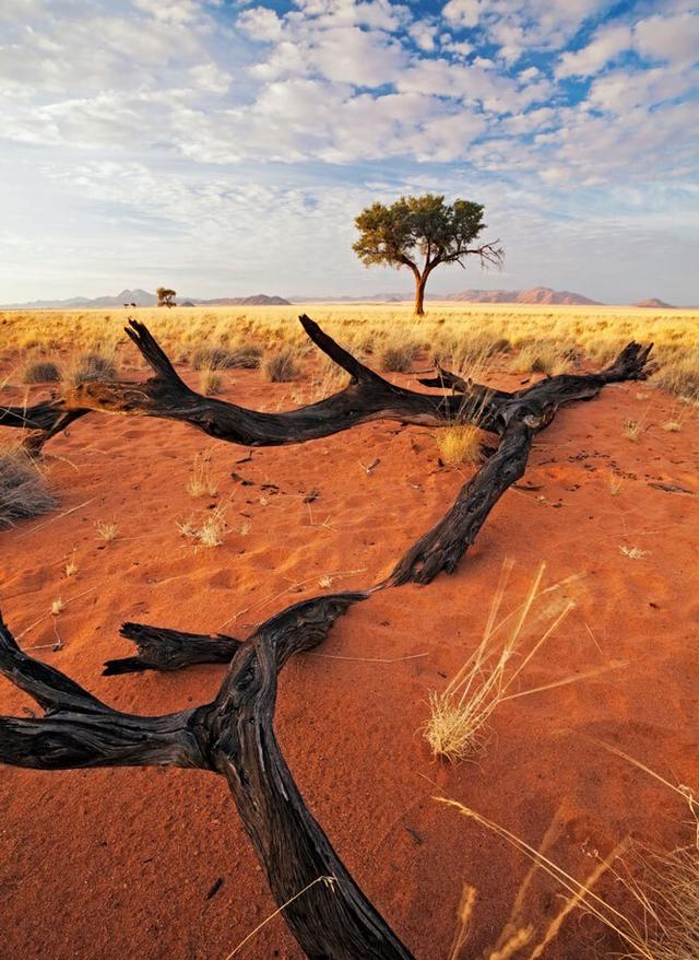 Zu den Angeboten Namibia