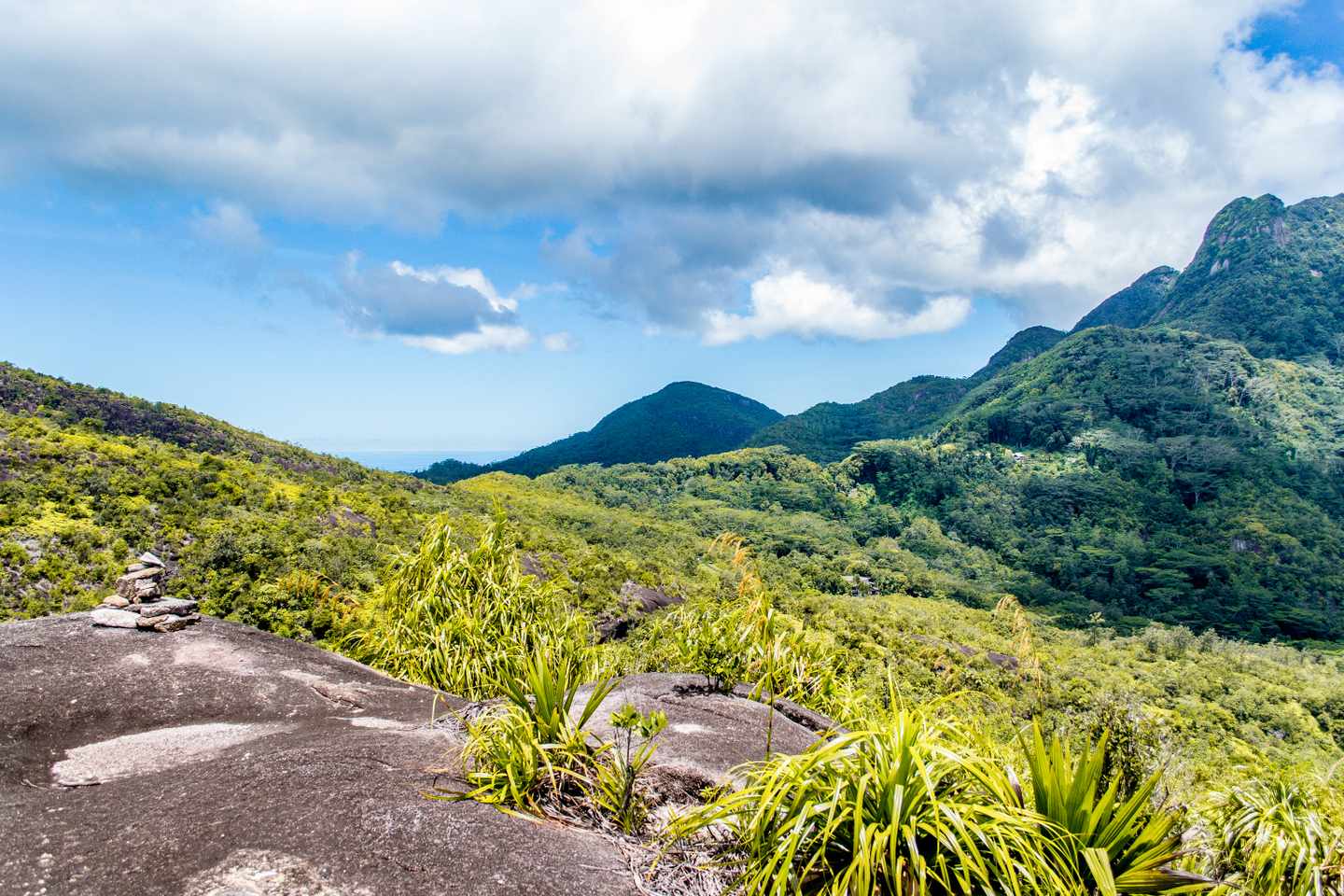 blt312c5b8851e79661-seychellen-mahe-nationalpark-morne-g-521459038.jpg Seychellen Sehenswürdigkeiten: Wanderroute auf dem Morne Seychellois Nationalpark