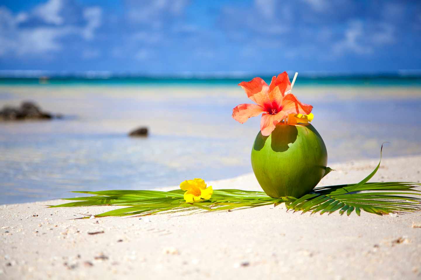 mauritius-kokosnuss-strand-t-155096612.jpg