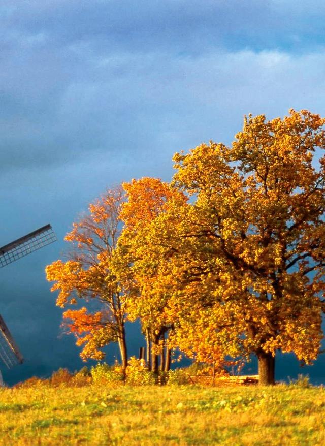 Hotel in Lettland buchen Windmühle in Lettland