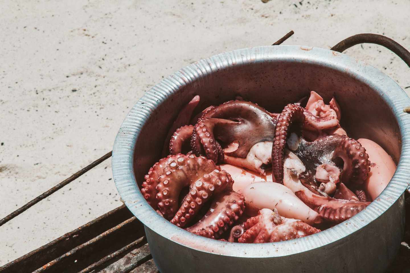 sansibar-oktopus-kochtopf-strand-g-1057999794.jpg