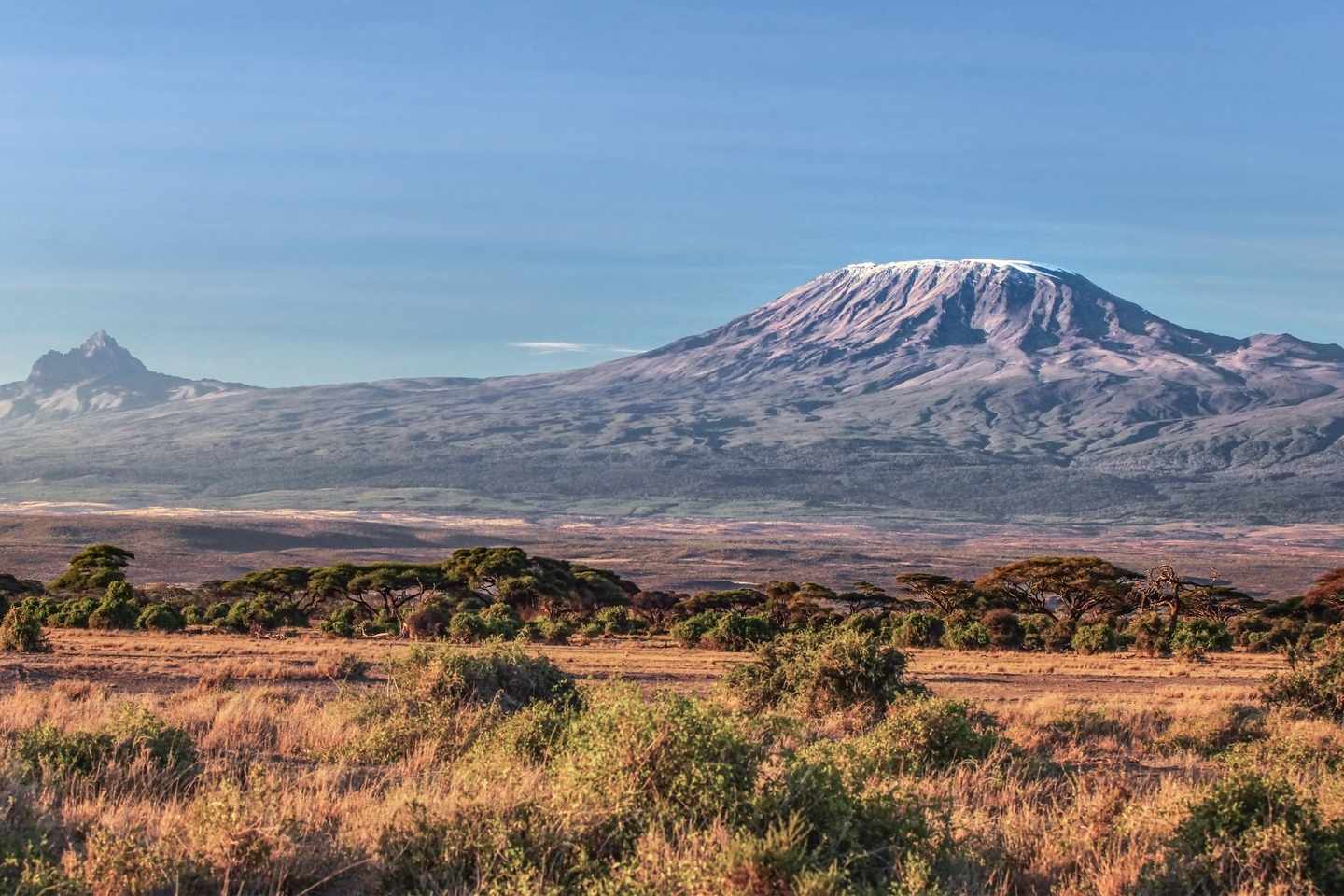 afrika-tansania-kilimandscharo-amboseli-wandern-bergsteigen-g-992017146.jpg
