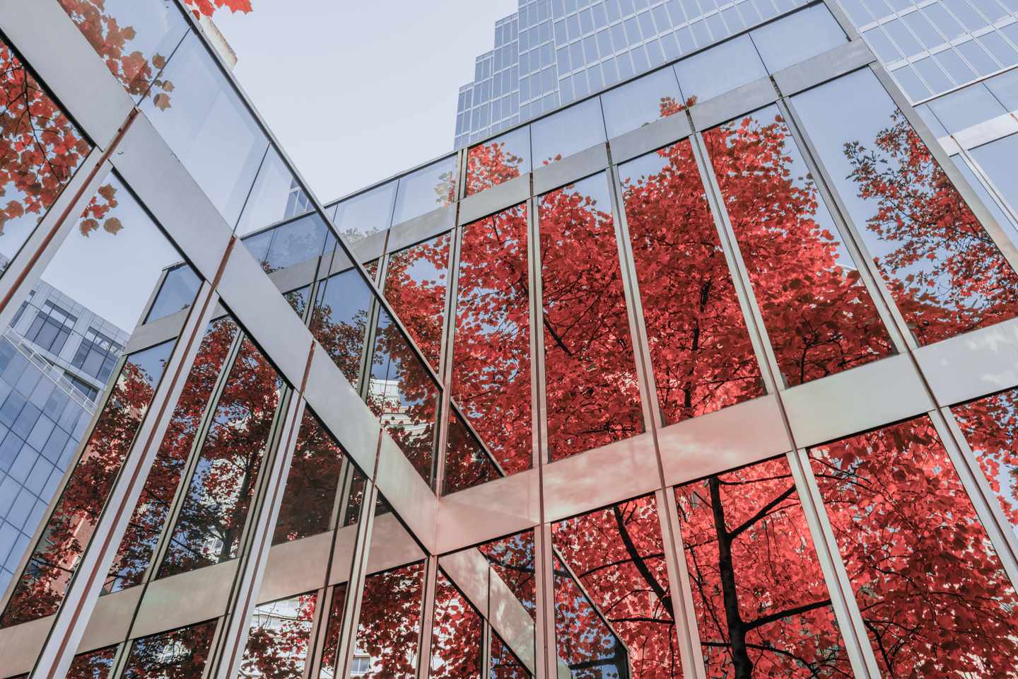 kanada-british-columbia-vancouver-hochhaus-herbstlaub-g-1056532346.jpg